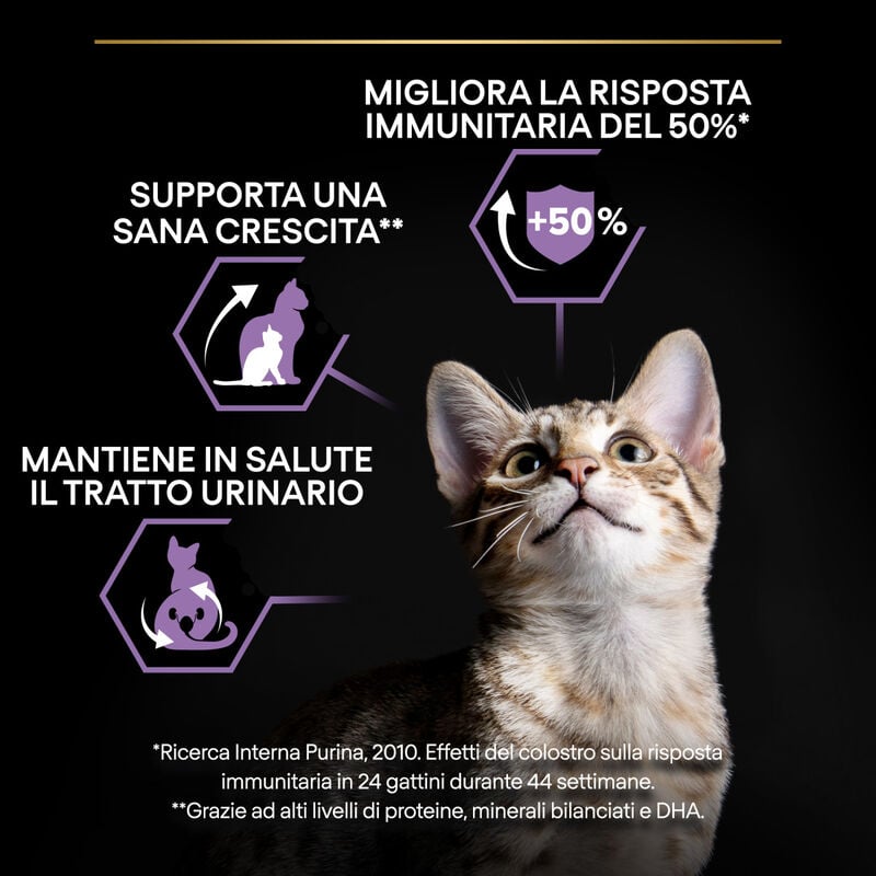 Purina Pro Plan Healthy Start Cat Kitten 1-12 mesi Pollo 400 gr