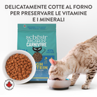 Schesir Born Carnivore Cat Adult Aringa con Salmone 1,25 kg