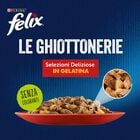 Felix Le Ghiottonerie Cat Selezioni Deliziose con Manzo e Pollo 12 x 85 gr