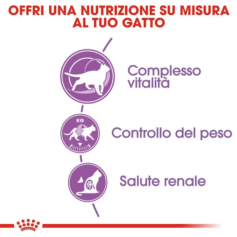 Royal Canin Cat Senior Sterilised +7 anni 400 gr
