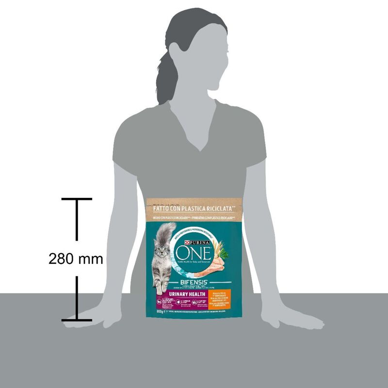 Purina One Bifensis Cat Urinary Pollo e Frumento 800 gr