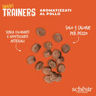 Schesir Dog Adult Snacks Trainers al Pollo 283 gr