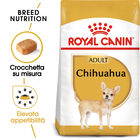 Royal Canin Chihuahua Dog Adult e Senior 500 gr
