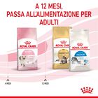 Royal Canin Cat Kitten 400 gr