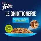 Felix Le Ghiottonerie Cat Selezioni con pesci Salmone con Tonno 12 x 85 gr