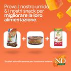 N&D Farmina Pumpkin Cat Cervo e Mela 300 gr