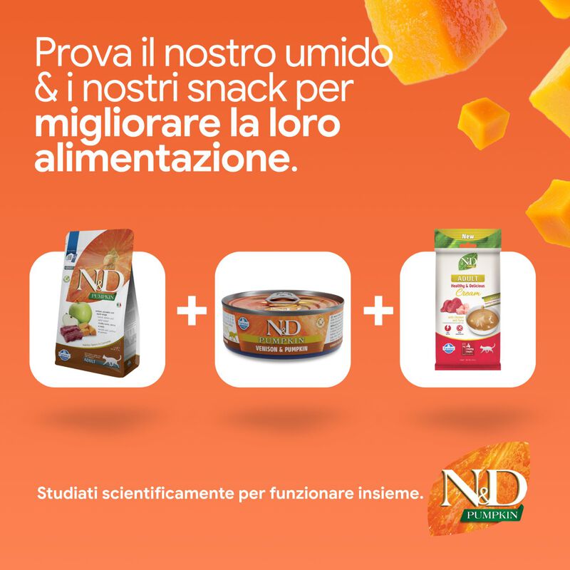 N&D Farmina Pumpkin Cat Cervo e Mela 300 gr