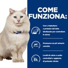 Hill's Prescription Diet Cat c/d Multicare Stress 8 kg