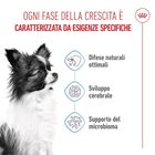Royal Canin Dog Puppy X-Small 500 gr
