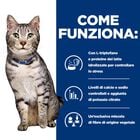 Hill's Prescription Diet Cat c/d Multicare Urinary Stress + Metabolic 85 gr