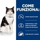 Hill's Prescription Diet Cat y/d Thyroid Care 1,5 kg