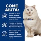 Hill's Prescription Diet Cat c/d Multicare Stress Urinary Care con Salmone 12x85 gr
