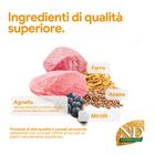 N&D Farmina Ancestral Grain Puppy Medium & Maxi Agnello e Mirtillo 12 kg