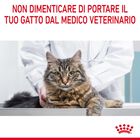 Royal Canin Cat Adult Urinary Care 2 kg