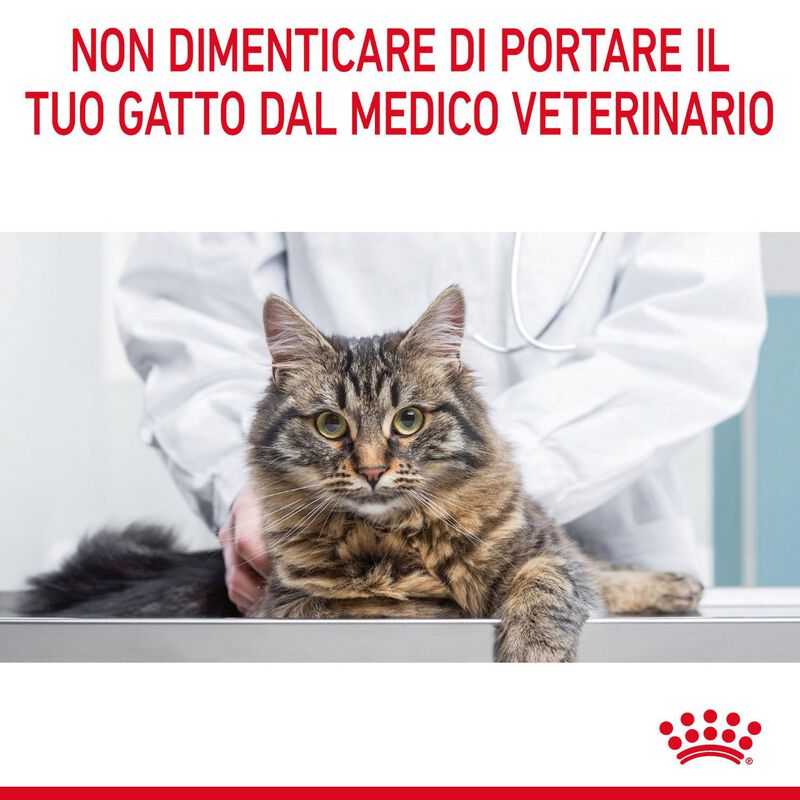 Royal Canin Cat Adult Urinary Care 2 kg