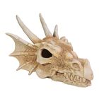 Askoll decorazione per acquari e terrari Teschio di Drago