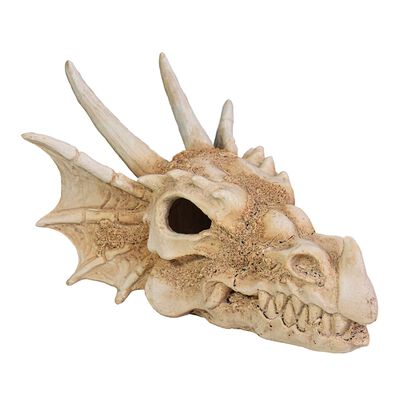 Askoll decorazione per acquari e terrari Teschio di Drago