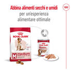 Royal Canin Dog Adult +7 anni Medium 15 kg