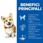 Hill's Science Plan Dog Small & Mini Adult con Pollo 6 kg