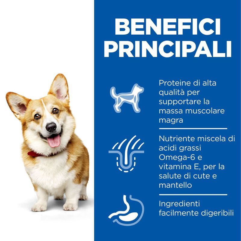Hill's Science Plan Dog Small & Mini Adult con Pollo 6 kg