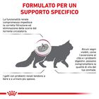 Royal Canin Veterinary Diet Cat Renal Select 400 gr