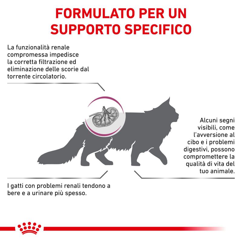 Royal Canin Veterinary Diet Cat Renal Select 400 gr