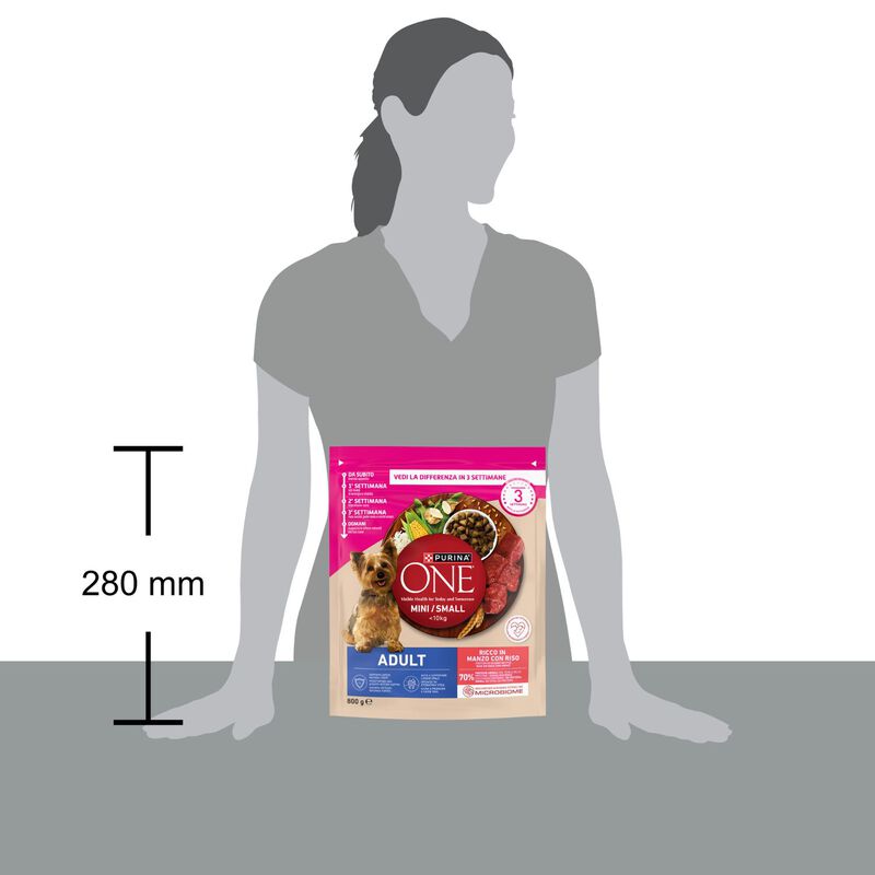 Purina One Dog Mini Adult con Manzo e Riso 800 gr