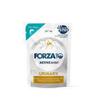 Forza 10 Active Vet Diet Cat Adult Urinary Pesce 80gr