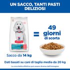 Hill's Science Plan Dog Adult Medium Hypoallergenic Salmone 12kg