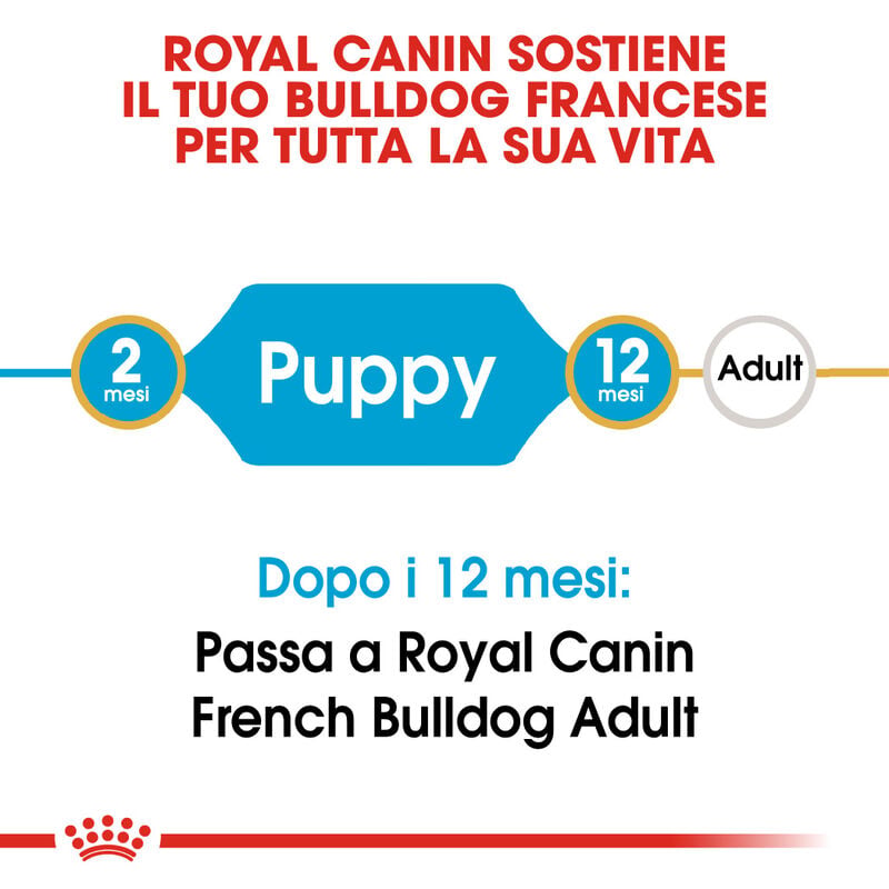 Royal Canin Dog Puppy French Bulldog 1 kg