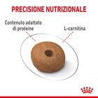 Royal Canin Dog Adult Medium Light Weight Care 12 kg 