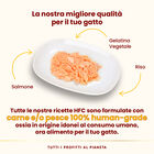 Almo Nature HFC Cat Jelly Salmone 70g