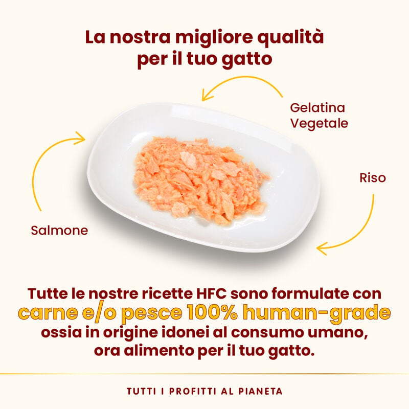 Almo Nature HFC Cat Jelly Salmone 70g