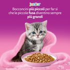 Whiskas Cat Junior Selezione Delicata in Gelatina 4 pz x 85 gr