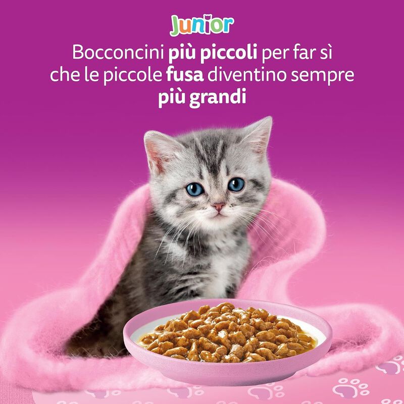 Whiskas Cat Junior Selezione Delicata in Gelatina 4 pz x 85 gr