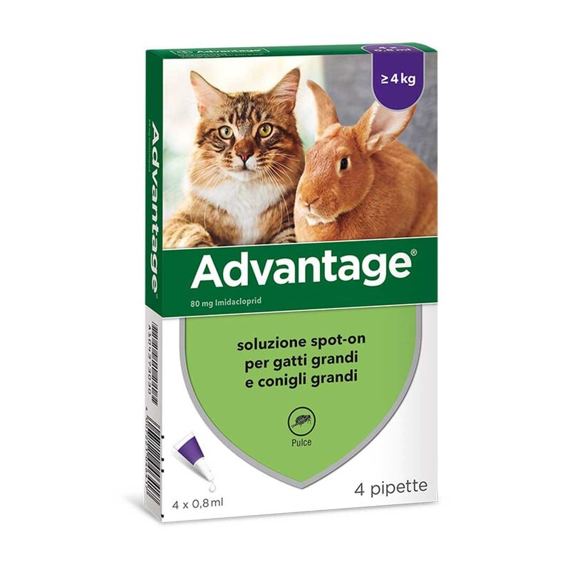 Advantage Spot-On Gatti e Conigli grandi oltre 4 kg 4 pipette