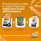N&D Farmina Ancestral Grain Puppy Medium & Maxi Agnello e Mirtillo 12 kg