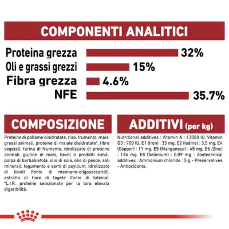 Royal Canin Cat Adult Sterilised Fit 32 10 + 2kg omaggio