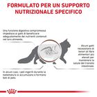Royal Canin Veterinary Diet Cat Adult Gastrointestinal Hairball 2 kg