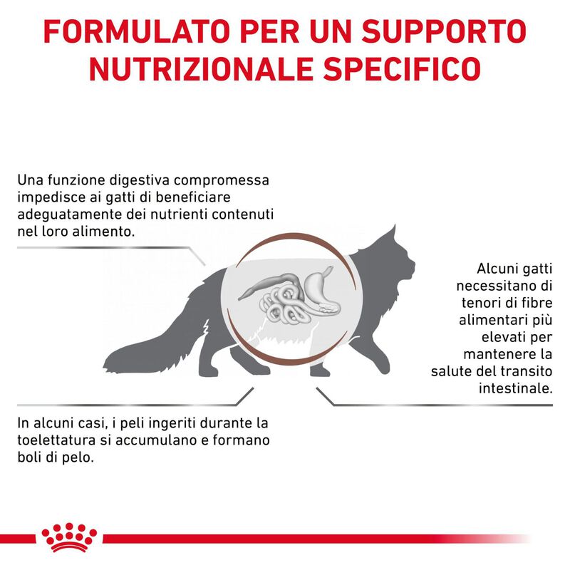 Royal Canin Veterinary Diet Cat Adult Gastrointestinal Hairball 2 kg