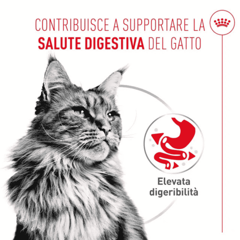 Royal Canin Cat Adult Digestive Care Airlift Mousse 85gr