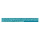Purina One Cat Appetito Difficile Filettini in Salsa 4 pz x 85 gr