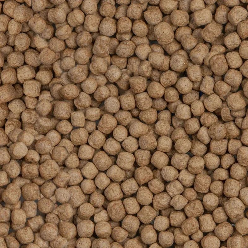 Sera Koi Royal Medium 3,8 lt