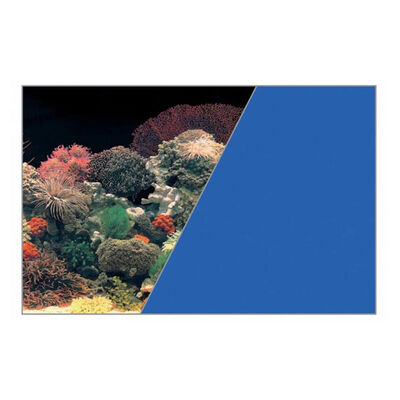 Zolux Poster Sfondo Corallo e Blu 40x60 cm