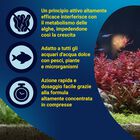 Tetra Algizit 10 Compresse