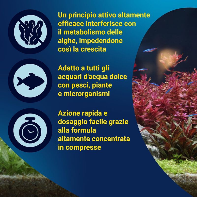 Tetra Algizit 10 Compresse