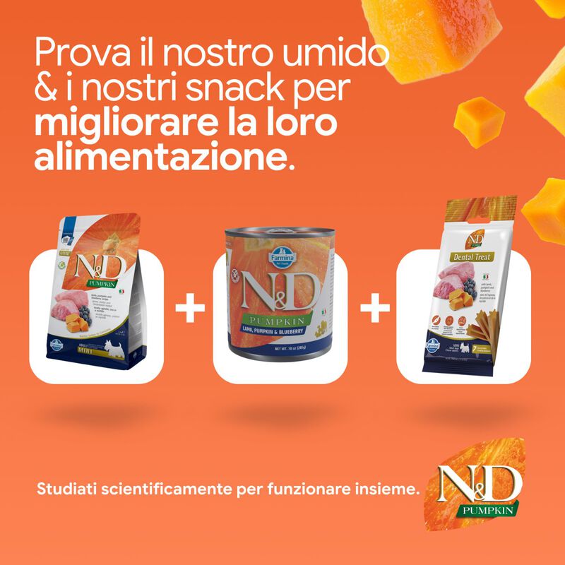 N&D Farmina Pumpkin Dog Adult Mini Agnello e Mirtillo 800 gr