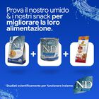 N&D Farmina Ocean Dog Adult Medium & Maxi Aringa & Arancia 2,5 kg