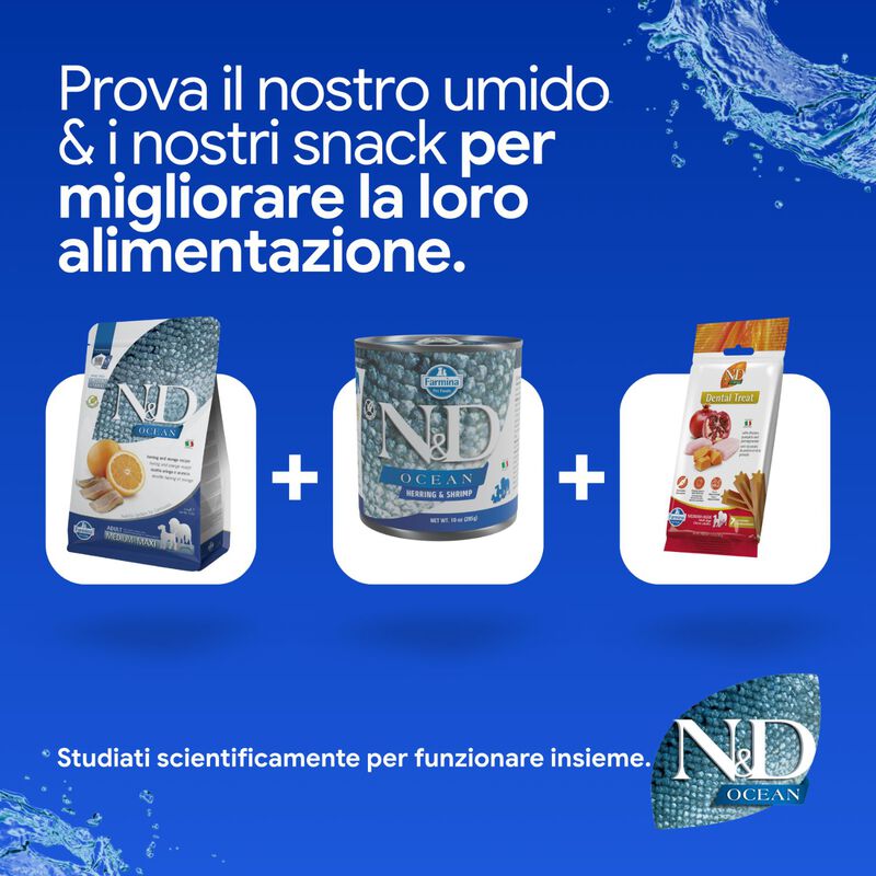 N&D Farmina Ocean Dog Adult Medium & Maxi Aringa & Arancia 2,5 kg