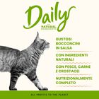 Almo Nature Daily Cat Adult Pollo Anatra 70g